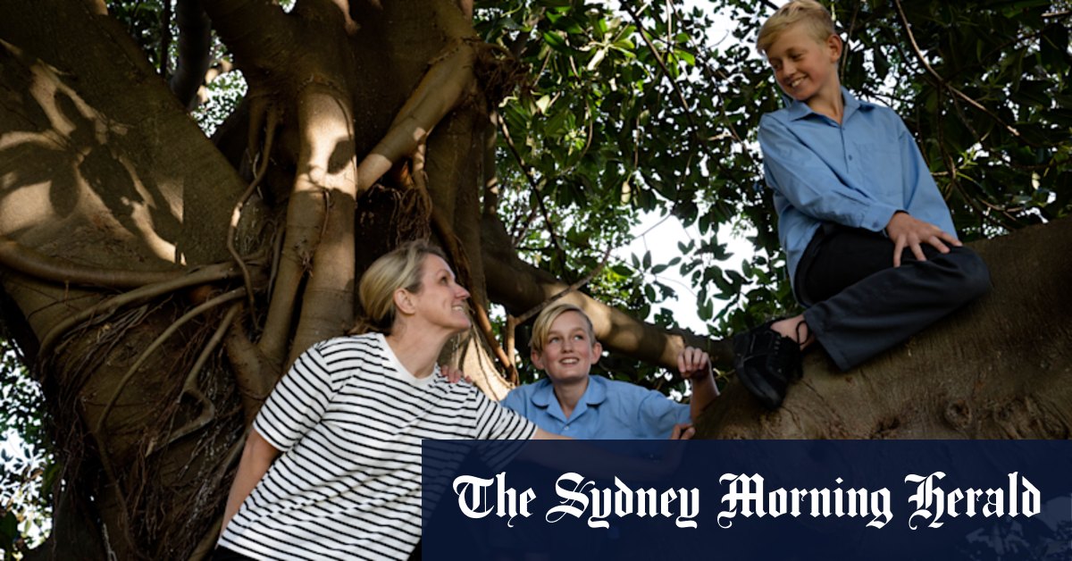 Sydney private school fees jump 50 per cent in a decade - Vimarsana News