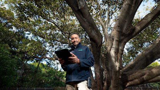 Giuseppe Greco with the century-old Moreton Bay fig tree at Melbourne Zoo in Parkville.