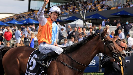Montefilia has the right profile to be winning the Melbourne Cup on Tuesday.