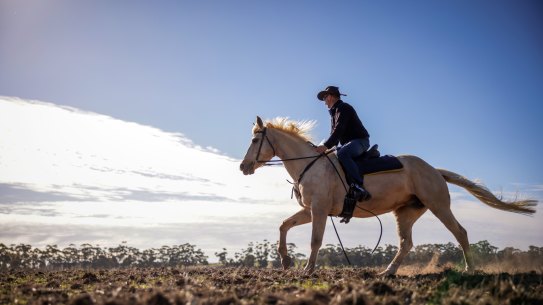 Darren Holmberg on his farm near Casterton. 
