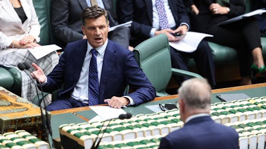 Opposition Leader Angus Taylor and Prime Minister Anthony Albanese in question time on Wednesday.