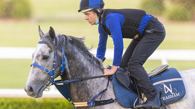 Loy hoping Barbecue Sauce can cut the mustard at Albury