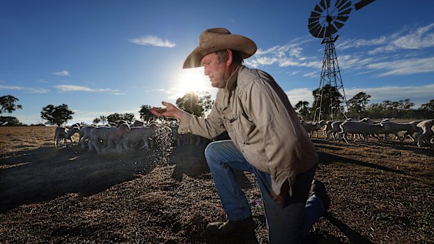 Sheep farmer Duncan Barber on his Coliban Park property near Redesdale in Victoria. 