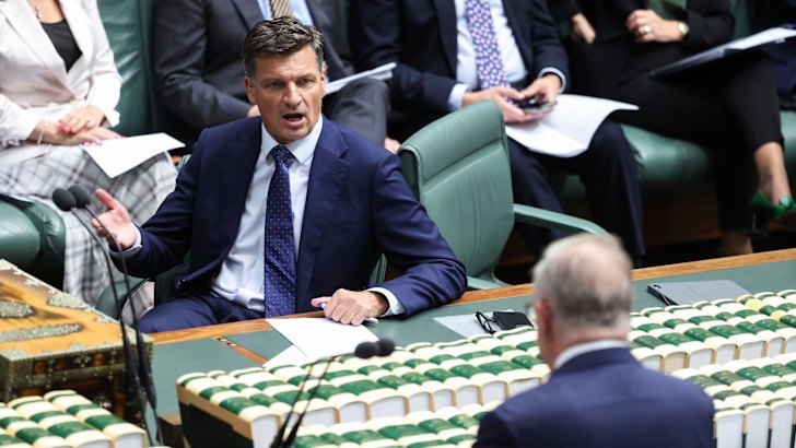 Opposition Leader Angus Taylor and Prime Minister Anthony Albanese in question time on Wednesday.
