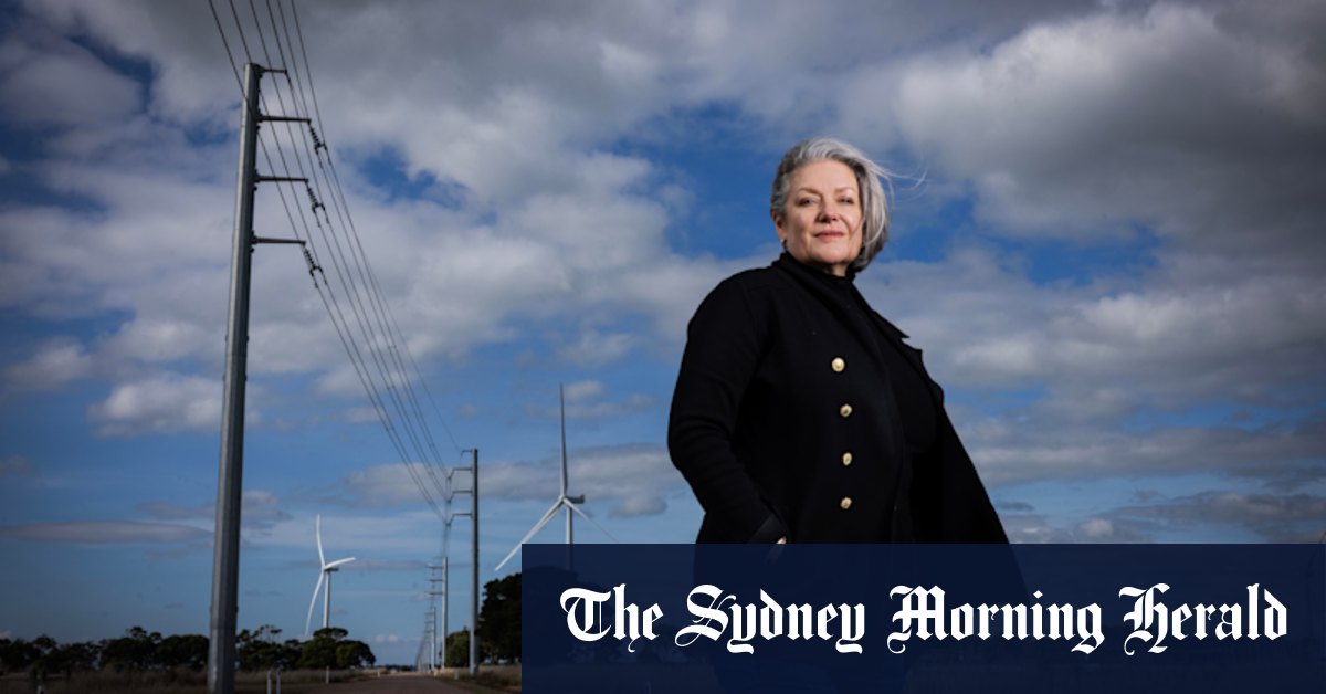Push to underground 'aerial spaghetti' power lines in Moyne Shire - Vimarsana News