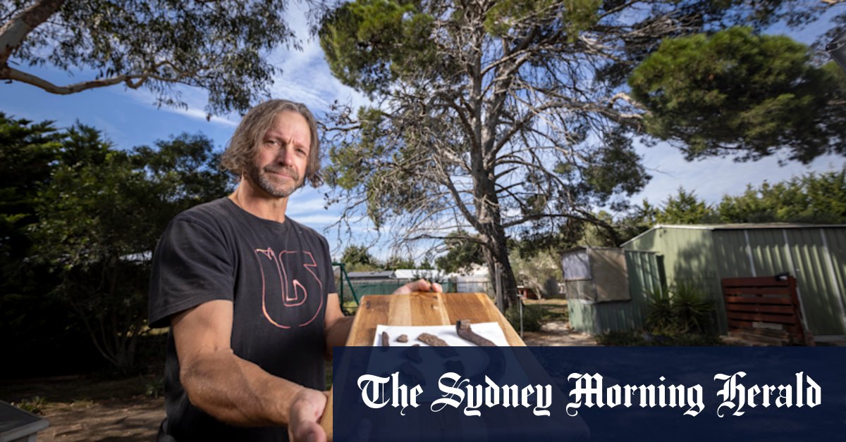 Phar Lap Tree gains heritage protection at St Albans Park estate - Vimarsana News