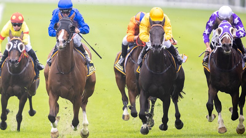 Race-by-race preview and tips for Port Macquarie on Sunday