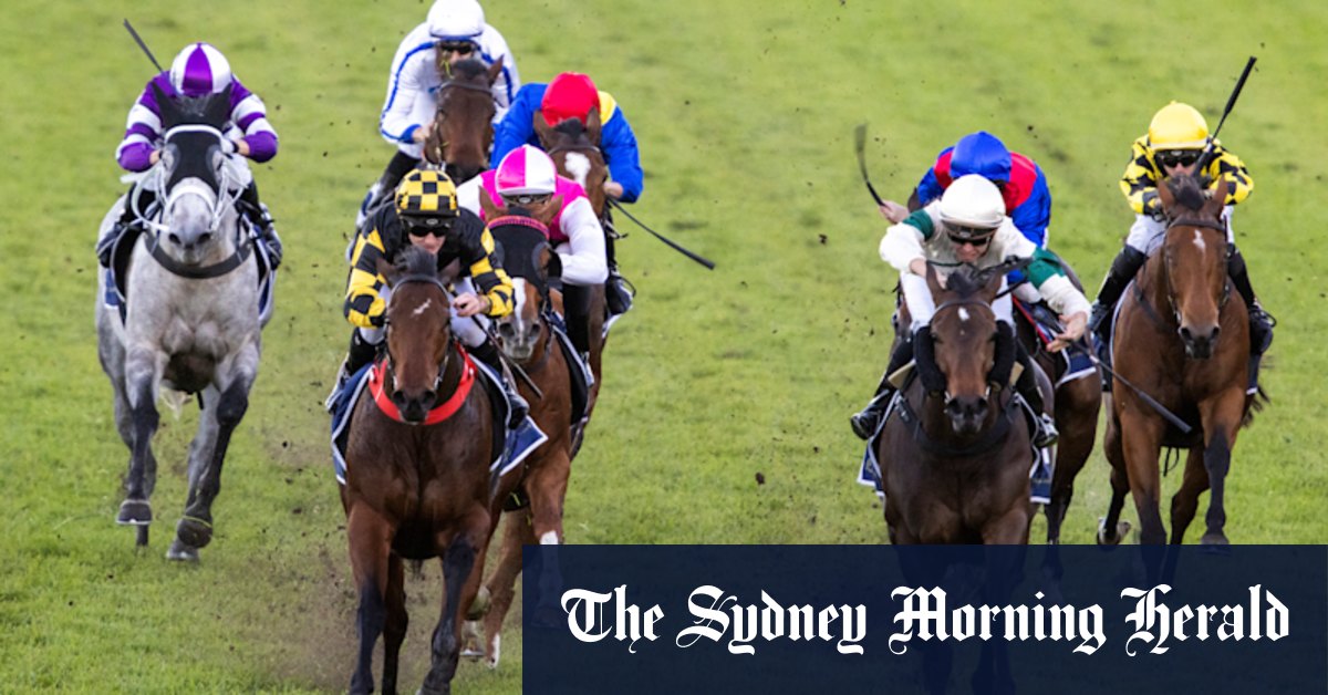 Queensland raider Amalgamation set to strike gold at Grafton