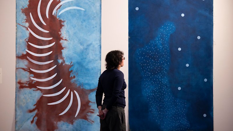 Brisbane’s Rising Voices art collection makes history at London’s Victoria & Albert Museum