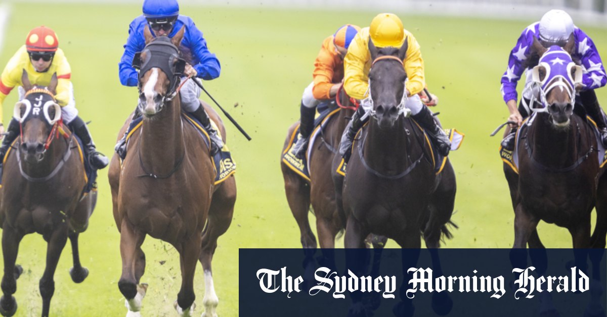 Pony Soprano Eyes Victory at Port Macquarie Country Championships