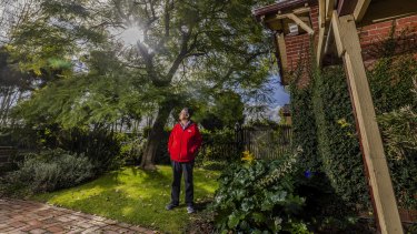 Glen Eira City Council in Melbournes south-east is considering enforcing a new local law, which prohibits residents from cutting or pruning trees from inside their own property without obtaining a permit first. Local resident Tamara De Silva has signed her support for the new laws, which will mean she will need a permit to maintain her big Bottlebrush and Jacaranda trees.