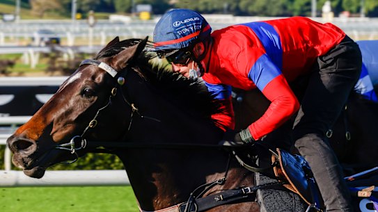 Verry Elleegant, with James McDonald on-board.