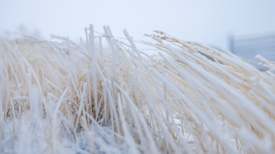 Blizzard warnings are in place for Victoria’s alpine region as the entire state braces for another cold front.