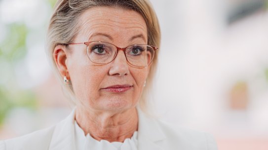 Sussan Ley at a short press conference on Friday