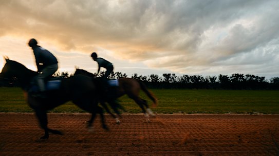 Danny O’Brien relies on high-tech tracking technology and professional data analysts to collect information about the training loads and provide an early warning of something they might otherwise miss.