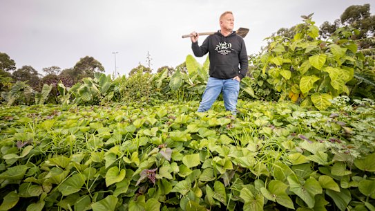 Dr Chris Wiliams is currently growing more than 60 varieties and cultivars of about 30 different foods