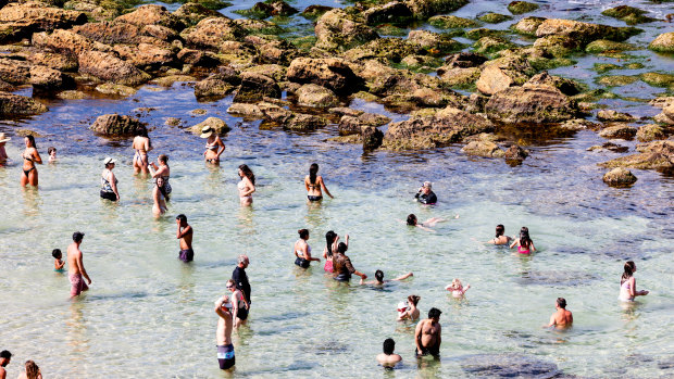 Sydney is having a scorcher. Think twice before you get in the ocean