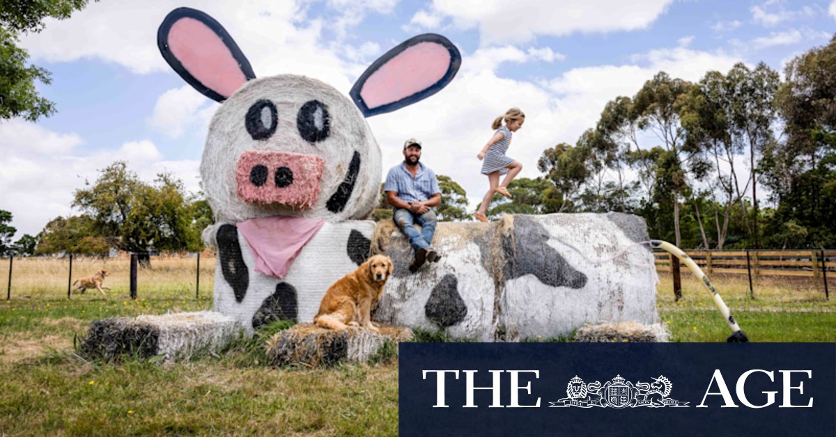 Hay, it's art! Hay bale sculpting a huge hit in hamlet near Hamilton - Vimarsana News