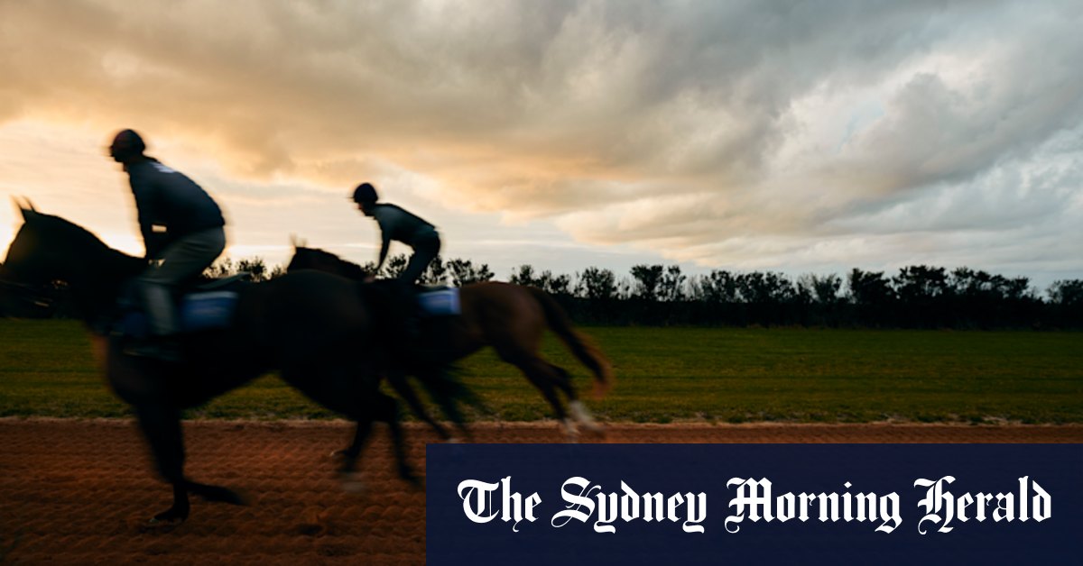 Podcast: the deadly, changing face of the Melbourne Cup - Vimarsana News