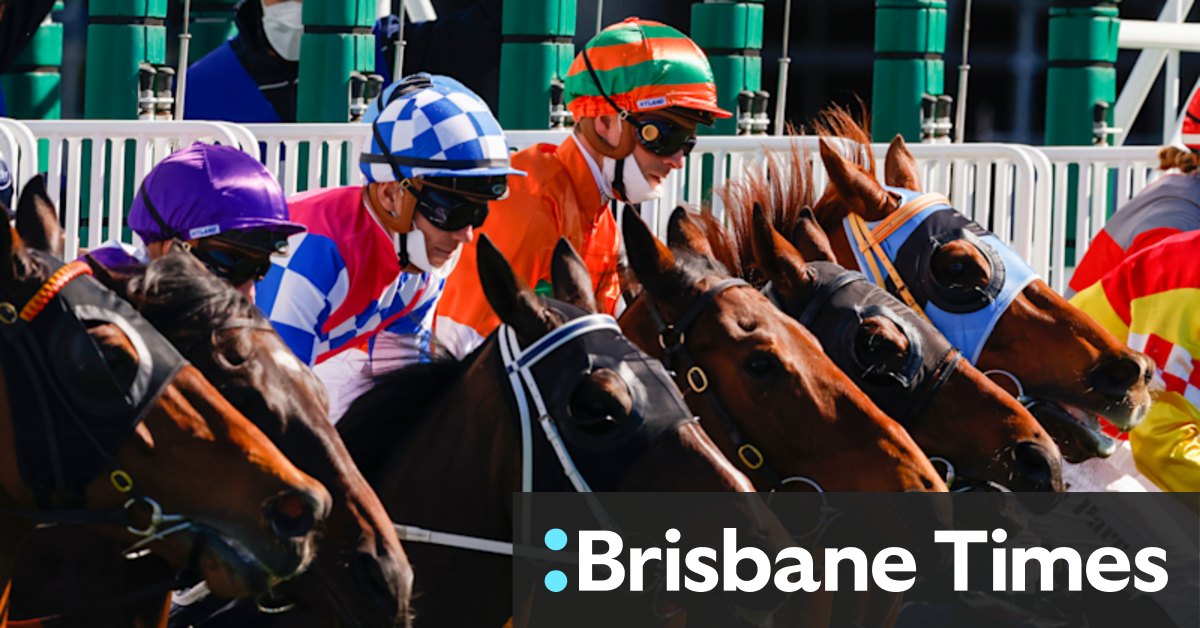 CBD Sydney: Old is new again at Racing NSW in the time of COVID - Vimarsana News