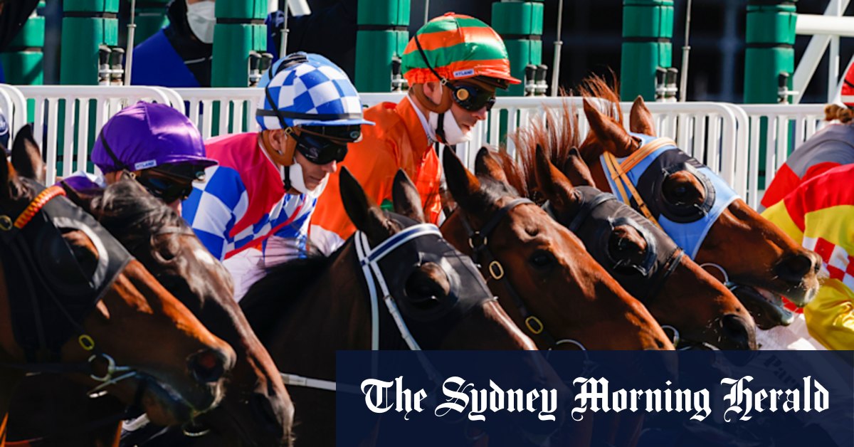 CBD Sydney: Old is new again at Racing NSW in the time of COVID - Vimarsana News