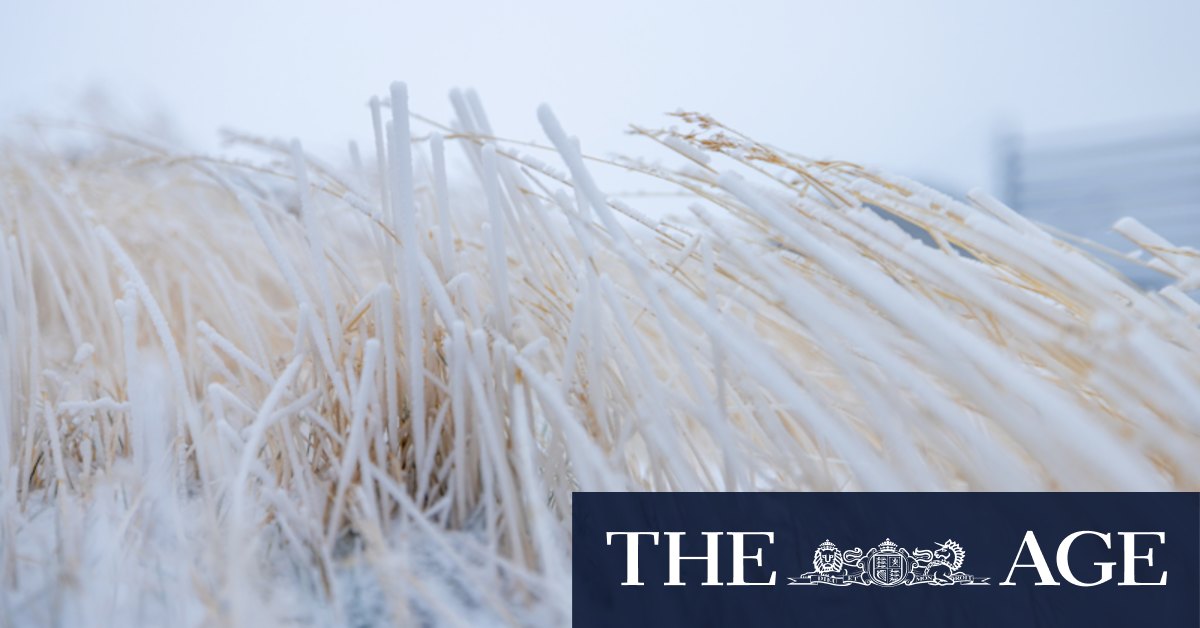 Winter has officially arrived: blustering blizzards hit Victoria - Vimarsana News