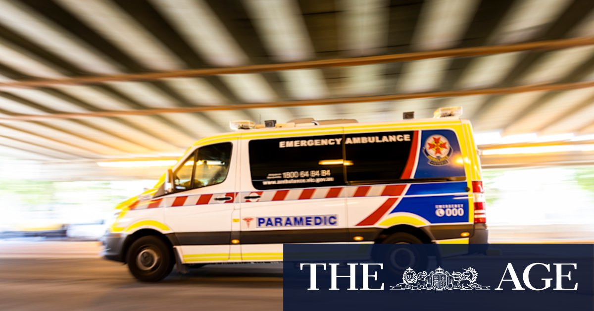 Twelve-year-old boy dies after being hit by car in Mulgrave - Vimarsana News