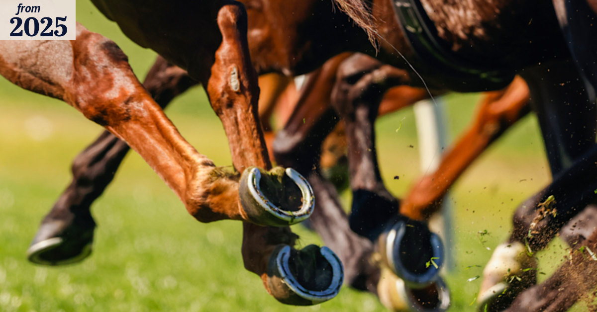 Goulburn races Tuesday: Tips and previews for Goulburn meeting
