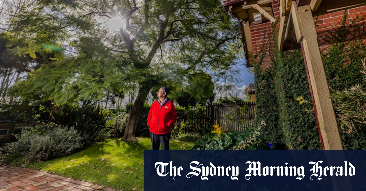 Want to prune a tree in your own yard in Glen Eira? You might need a permit soon - Vimarsana News