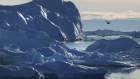 Earlier this week, Danish Prime Minister Mette Frederiksen sought to drum up support from European allies to stand up to Trump’s efforts to appropriate Greenland.
