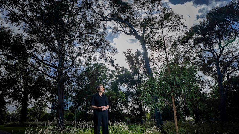 How the lessons learnt from Black Saturday are saving lives