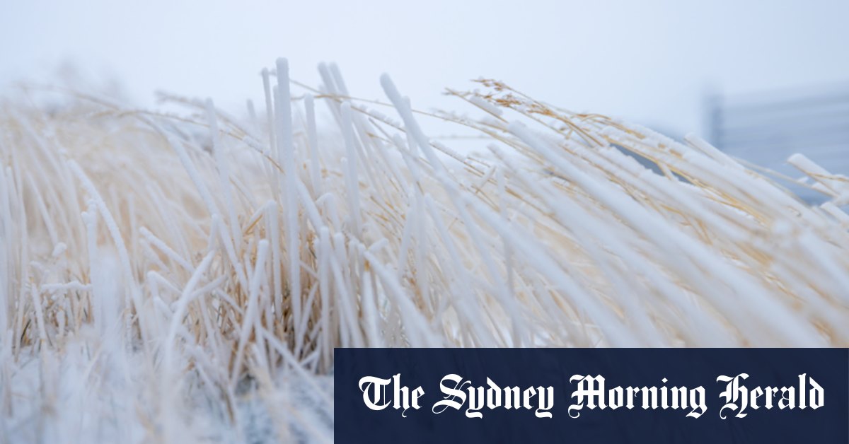 Winter Has Officially Arrived: Blustering Blizzards Hit Victoria - Vimarsana News