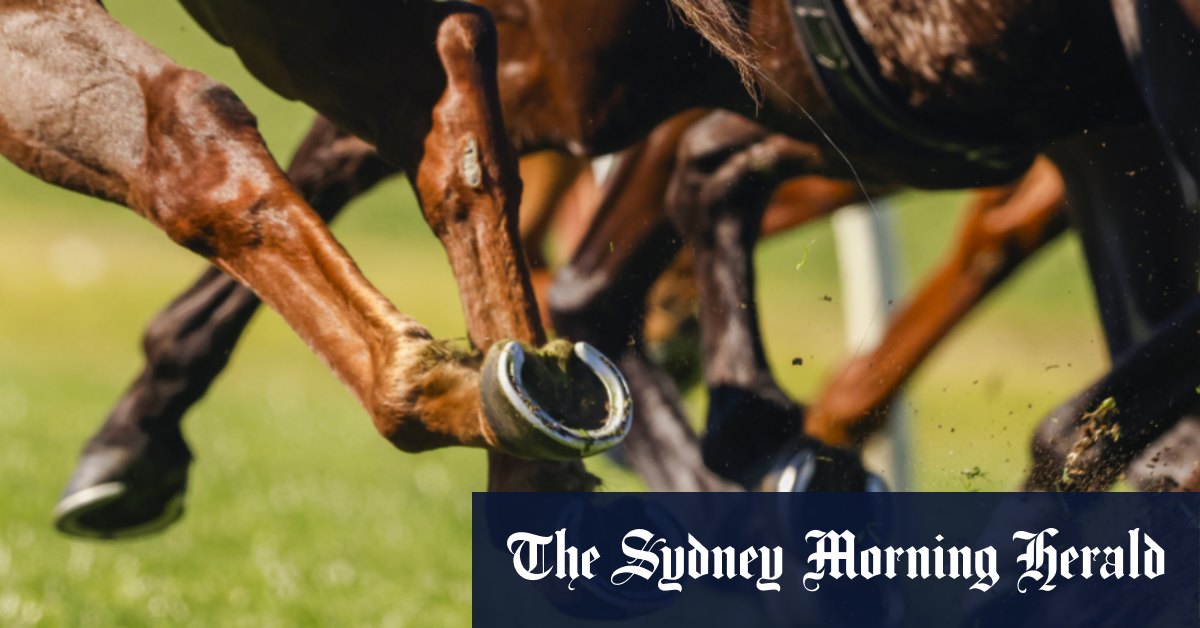 Race-by-race preview and tips for Goulburn on Tuesday