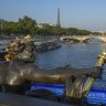 Seine awash with bacteria one month before open-water Olympic swimming