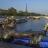Seine awash with bacteria one month before open-water Olympic swimming