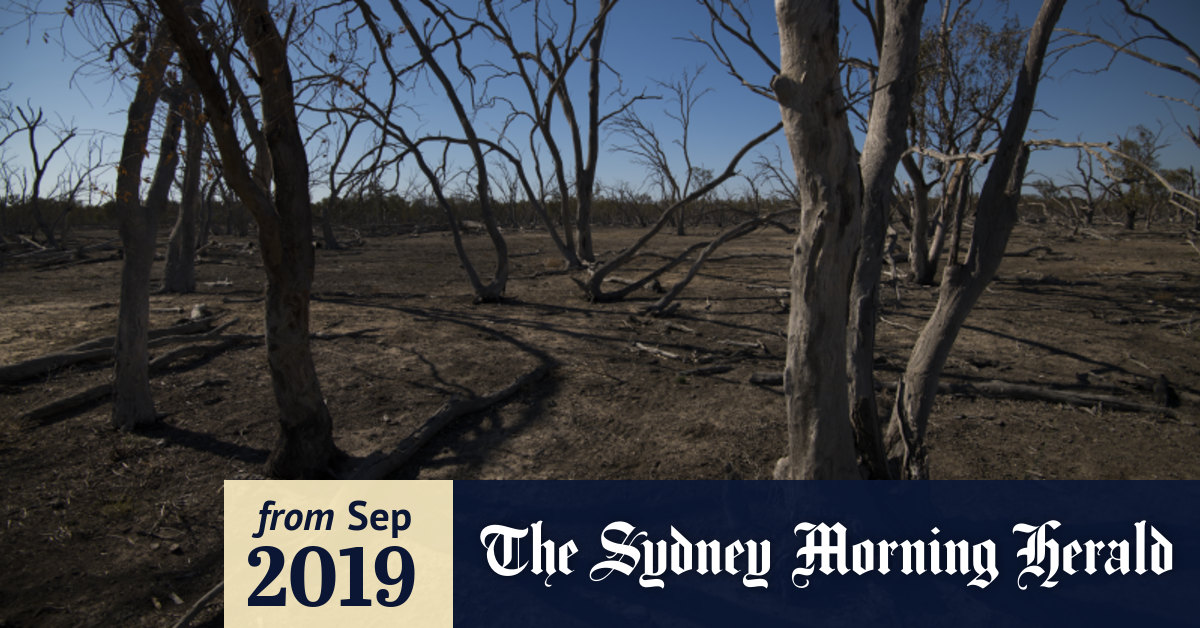 Drought Deepens As Very Dry Winter Combines With Record Heat