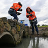 EPA workers on Thursday testing a creek that runs through the Mt Derrimut golf course after the blaze.