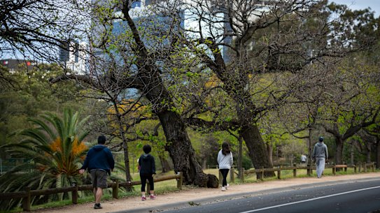 Parramatta Park is one of Sydney’s green spaces that will be managed by the new parklands agency.