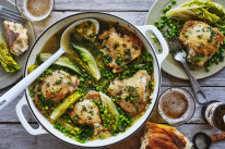 Braised chicken with peas and lettuce.