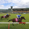 Race-by-race preview and tips for Newcastle on Tuesday