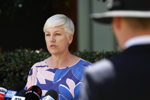 Greens MP Cate Faehrmann said the public should be concerned industry pushback was the reason for the delay.