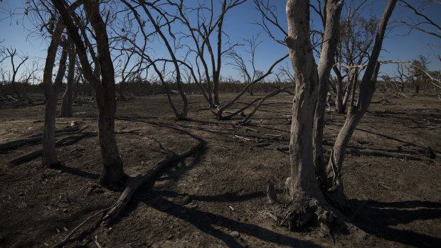 The drought is all part of God's plan, Sydney’s Anglican Archbishop, the Reverend Glenn Davies, told Richard Glover.