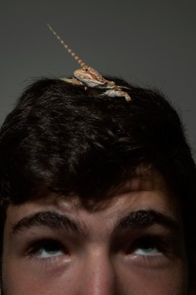 Nathan Rosen, 18, with his pet central bearded dragon.