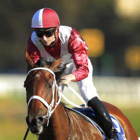 Arcadia Queen takes out the Theo Marks Stakes at Rosehill.