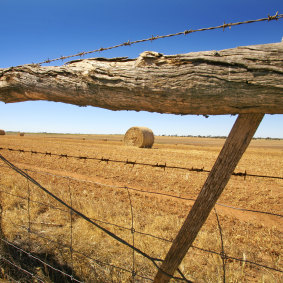 Australian wheat growers have benefited from droughts elsewhere in the world, Elders CEO Mark Allison said.