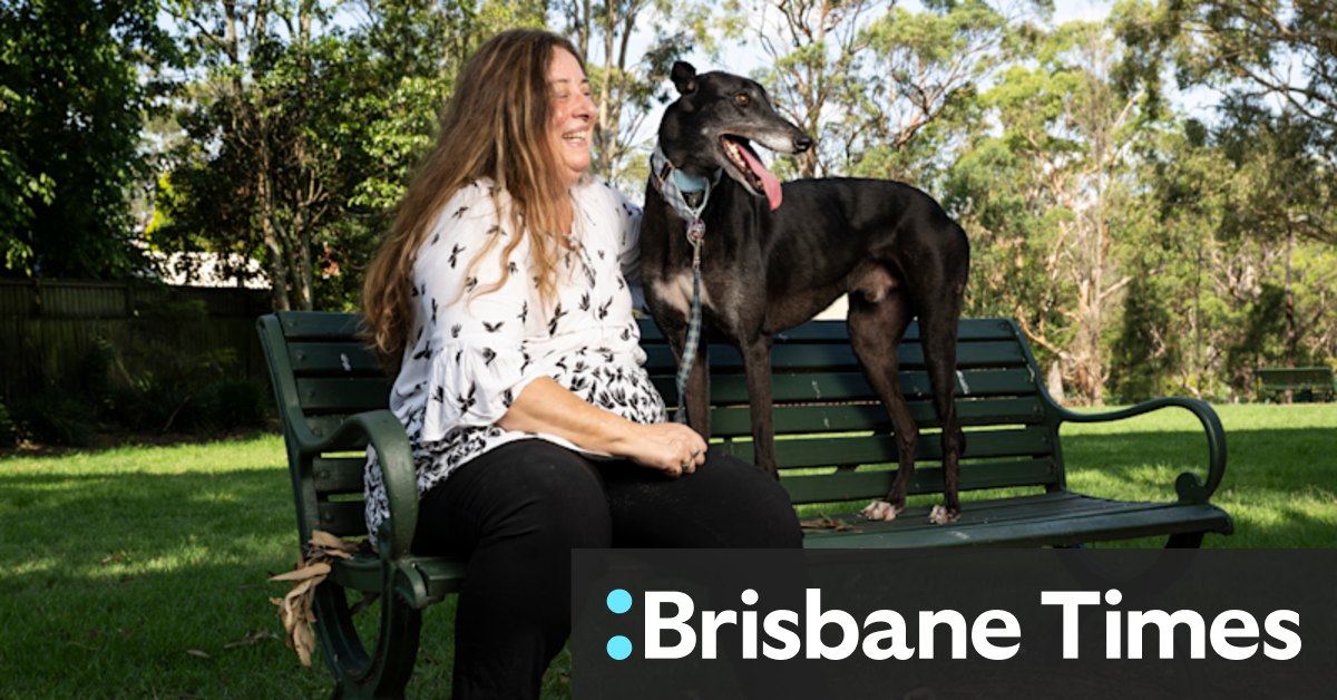 Online gambling driving surge in greyhound breeding, rescues inundated - Vimarsana News