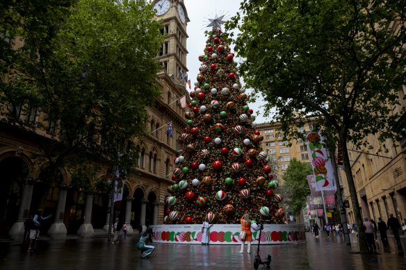The Martin Place Christmas tree is 24 metres high.