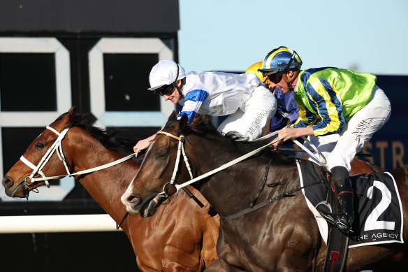 Age Of Sail just fails to run down Kapakiri at Rosehill last start.