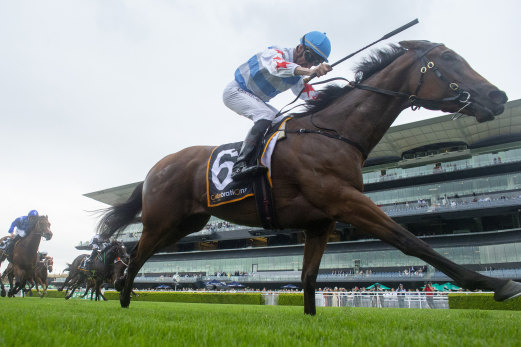 Nash Rawiller on Forbidden Love wins the Surround Stakes at Randwick on Saturday.