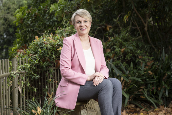 Labor frontbencher Tanya Plibersek.